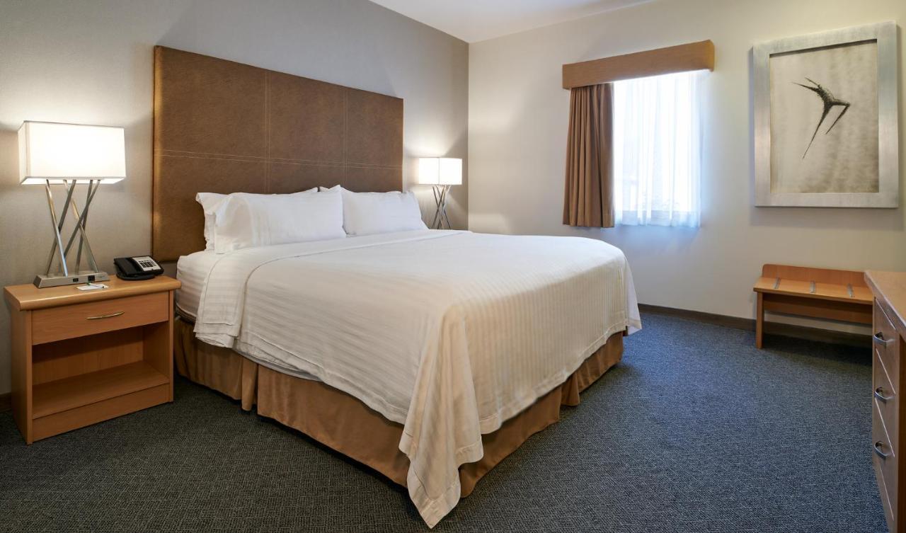 Holiday Inn & Suites Chihuahua Expo By Ihg Τσιχουάχουα Εξωτερικό φωτογραφία